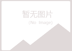 日照岚山水桃美容有限公司